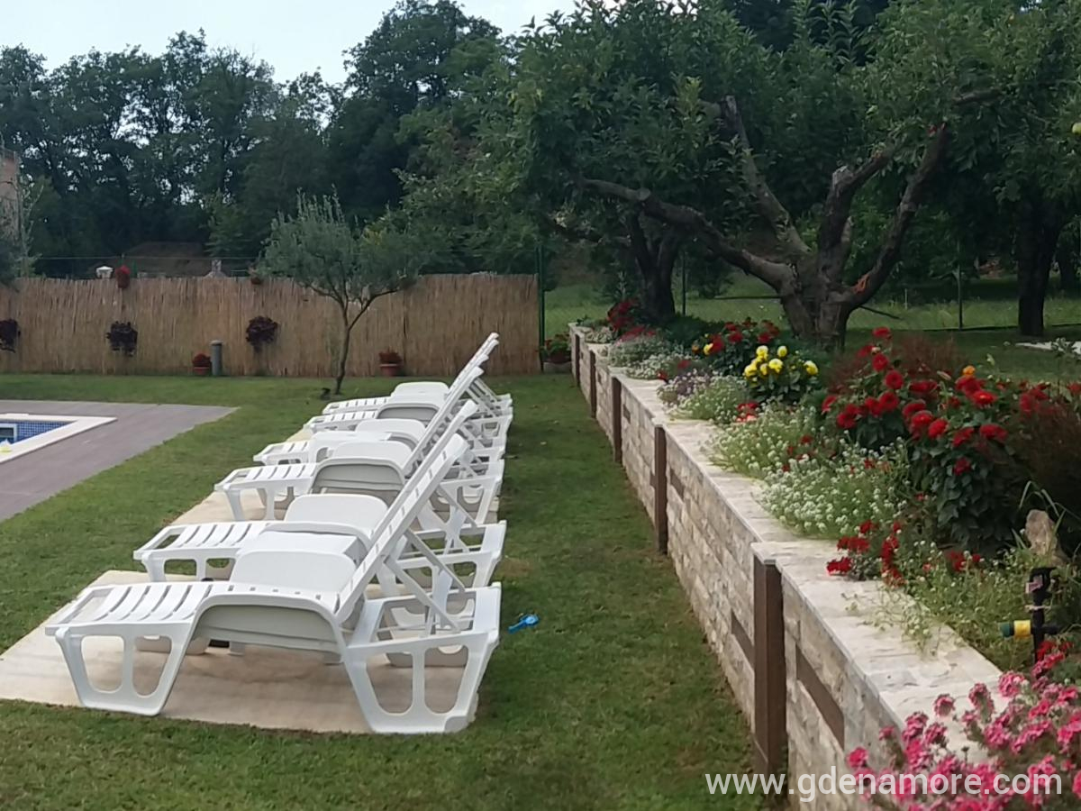 Studio apartmani Petkovic, privatni smeštaj u mestu Tivat, Crna Gora - 20180719_124304